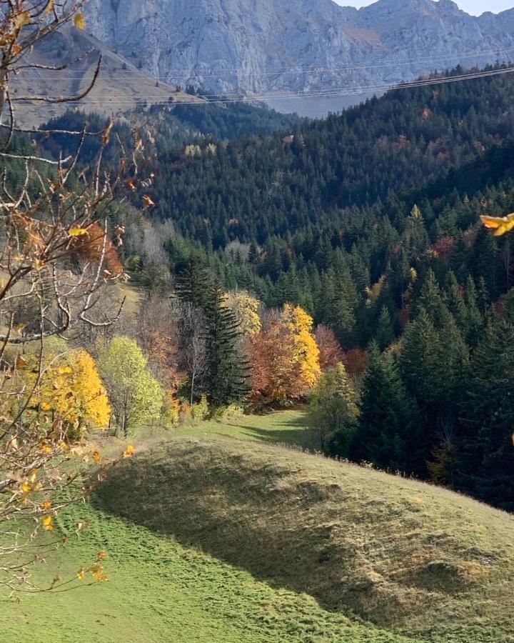 Bel Appart 3* Centre Village Villard-de-Lans Exteriér fotografie